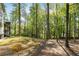 Expansive backyard features mature trees, offering shade and privacy at 4201 Brookview Se Dr, Atlanta, GA 30339