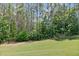 Wooded view of the green and lush backyard of the property, offering a tranquil setting at 8050 Tristan Way, Whitesburg, GA 30185
