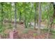 Wooded backyard featuring a flowing stream and lush greenery at 1603 Drowning Creek Rd, Dacula, GA 30019