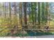Beautiful backyard with wooded scene at 23 Peggy Nw Ct, Marietta, GA 30064