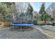 Lush backyard with a trampoline offering a great space for outdoor fun and recreation at 3350 Vista Creek Dr, Dacula, GA 30019
