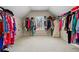 Walk-in closet with carpeted floors, natural light, and ample space to hang clothes at 1903 Brackendale Nw Rd, Kennesaw, GA 30152