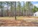 Side yard with mature trees and partial view of back of house at 1312 Mcgarity Rd, Temple, GA 30179