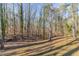 Mature trees surround the property with sunshine filtering through at 5845 Highway 92, Fairburn, GA 30213