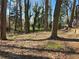 Backyard featuring mature trees, natural setting, and potential for landscaping and outdoor activities at 1920 Moores Mill Nw Rd, Atlanta, GA 30318