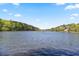 Expansive lake view under a bright blue sky, surrounded by lush green trees at 394 Teal Ct, Roswell, GA 30076