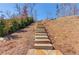 Stone steps leading up a landscaped hill in the backyard at 4152 Woodward Mill Rd, Sugar Hill, GA 30518