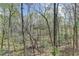 Lush backyard with tall trees and natural landscape at 525 Water Shadow Ln, Alpharetta, GA 30022