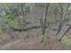View of the backyard showing its natural landscape at 525 Water Shadow Ln, Alpharetta, GA 30022