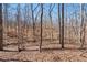 View of backyard with mature trees and foliage at 760 Valley Summit Drive, Roswell, GA 30075
