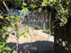 Lush backyard view, showing a fence through verdant foliage at 235 Winding River Dr # B, Atlanta, GA 30350