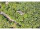 Aerial view showcases a secluded home nestled in a lush, green forest setting, offering privacy and natural beauty at 385 Grimes Bridge Rd, Roswell, GA 30075