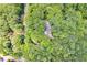 Aerial view of a home nestled among a forest, showcasing its private and secluded setting surrounded by trees and greenery at 385 Grimes Bridge Rd, Roswell, GA 30075