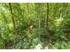 Lush landscaping surrounds a property with dense trees and greenery providing privacy and natural beauty at 385 Grimes Bridge Rd, Roswell, GA 30075