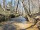 Serene creek flowing through the backyard, providing a natural and relaxing setting at 2986 Nestle Creek Dr, Marietta, GA 30062