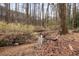 Tranquil view of a small creek flowing through a wooded backyard with natural foliage and mature trees at 69 New Brunswick Ct, Suwanee, GA 30024