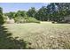 Wide expanse of grass surrounded by trees and a partial view of the home at 1590 Greyson Rdg, Marietta, GA 30062