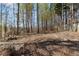 Large lot with treeline in backyard at 3595 Ansley Park Dr, Suwanee, GA 30024