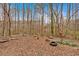 Large wooded backyard with mature trees at 815 Oxford Hall Dr, Lawrenceville, GA 30044
