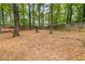 A large backyard with mature trees and ground covering at 3900 Millwood Lane Nw, Lilburn, GA 30047