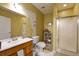 Bright bathroom featuring a shower, toilet, and a vanity sink with a wooden cabinet at 352 Lauren Ln, Woodstock, GA 30188