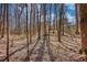 The photo shows wooded acreage with trees in the background at 757 Lackey Rd, Covington, GA 30014