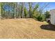 An expansive backyard with mature trees lining the property, a shady lawn, and space for a playset at 4558 Ryan Rd, Conley, GA 30288