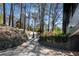 Long paved driveway flanked by lush greenery leading to the home at 3240 Pinestream Nw Rd, Atlanta, GA 30327