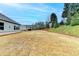 Expansive backyard with healthy lawn and some trees, offering ample space for outdoor activities and landscaping opportunities at 811 Pineberry Ct, Grayson, GA 30017