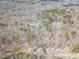 Scenic aerial view of wooded property with houses nestled amongst trees, creating a secluded and private setting at 170 River Cove Rdg, Social Circle, GA 30025