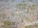 Bird's-eye view of a home surrounded by dense trees, offering privacy and a nature-filled environment at 170 River Cove Rdg, Social Circle, GA 30025
