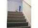 Carpeted stairs leading to the upper level of the home at 3533 Saddlebrook Dr, Loganville, GA 30052