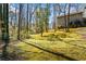 Lush backyard featuring a sprawling lawn and bordered by mature trees, creating a private and natural setting at 6038 Maryjo Ln, Norcross, GA 30093