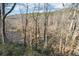 Scenic view of a river surrounded by lush trees and greenery, creating a serene natural landscape at 408 River Run Dr, Atlanta, GA 30350