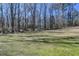 Expansive backyard showcasing lush greenery and mature trees, creating a serene outdoor space at 637 Rock Springs Rd, Lawrenceville, GA 30043