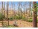 A peaceful backyard retreat with natural landscaping, providing a serene escape and inviting outdoor living space at 345 W Spalding Dr, Sandy Springs, GA 30328