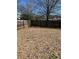 Fenced backyard with dormant grass, some weeds, and a deciduous tree and bright blue sky at 740 Kibbe Cir, Lawrenceville, GA 30044