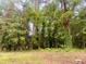 Lot with mature trees in a peaceful setting at 1332 Willis Mill Sw Rd, Atlanta, GA 30311