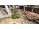 View of the backyard with stone lined dry stream bed, mature trees and wooden privacy fence at 2899 Greystone Cv, Chamblee, GA 30341