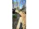View of a backyard stepping stone path with mature trees and landscape at 2899 Greystone Cv, Chamblee, GA 30341