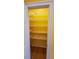 Walk-in pantry with white wire shelving and golden yellow walls at 2899 Greystone Cv, Chamblee, GA 30341