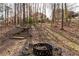 Backyard with steps leading through trees to a fire pit in a wooded, natural landscape at 994 Fairview Club Cir, Dacula, GA 30019