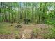 Secluded backyard featuring a cozy fire pit area, stone bench, and lush greenery for outdoor enjoyment at 994 Fairview Club Cir, Dacula, GA 30019