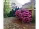 Lush landscaping including a large azalea bush and decorative stone pathway enhance the property's curb appeal at 994 Fairview Club Cir, Dacula, GA 30019