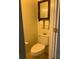 Cozy half-bathroom featuring toilet and cabinet for essentials and a decorative mirror at 222 Waterford Cove Dr, Suwanee, GA 30024