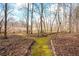 View of mossy walking trails through wooded back yard at 285 Blackstock Rd, Villa Rica, GA 30180