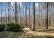 Backyard path through woods at 285 Blackstock Rd, Villa Rica, GA 30180