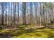 Expansive backyard featuring mature trees and mossy ground cover at 285 Blackstock Rd, Villa Rica, GA 30180
