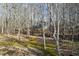 Moss-covered path leads through the serene, wooded backyard to the house at 285 Blackstock Rd, Villa Rica, GA 30180