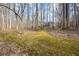 Tranquil backyard view with lush moss path leading to the home at 285 Blackstock Rd, Villa Rica, GA 30180